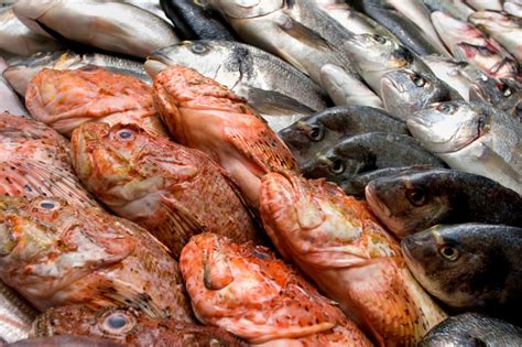 4 Fish To NEVER Eat (Avoid These Like The Plague).